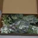 120 Pcs 4 Kinds Mixed Eucalyptus Greenery Stems, Baby Breath Flowers Artificial Bulk and Greenery Stems for DIY Bouquets Wedding Home Floral Decor