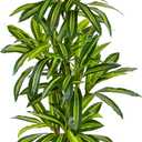 Warmplants Artificial Dracaena Tree 6ft, Fake Yucca Plant with White Planter and Lifelike Leaves, Faux Dracaena Tall Floor Trees for Home Office Garden Décor