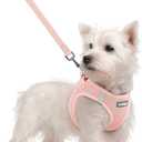 rabbitgoo Dog Harness Small Sized and Leash Set, Step in Soft Light Puppy Vest, Breathable Mesh Pet Harness, Reflective for Safe Outdoor Walking, Pink S (S (Chest: 15.1 - 16.5"))