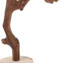 Balacoo Wooden Parrot Perch Stand with Stable Base Multi-Functional Bird Training Rack Toy for Parrots Durable Non-Slip Grip for Training and Play