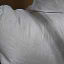 Pacific Coast Bed Pillows for Side and Back Sleepers, Feather and Down Hotel Pillows with 100% Cotton Shell, Medium Supportive, Downproof, King Size 2 Pack