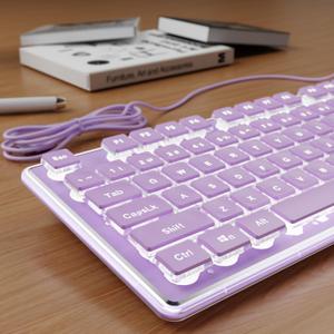 SEUNKWANG EWEADN GX710S Backlit Computer Keyboards, Wired USB Keyboard with White Backlit, Metal Panel, Plug and Play, Pudding Keycaps Full Size Quiet Computer Keyboard for Win/PC/Laptop-Purple