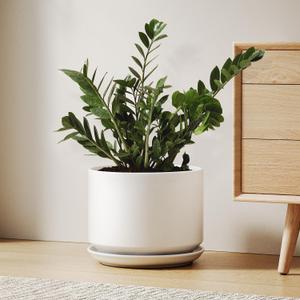 LE TAUCI Ceramic Pots for Plants, 10 Inch Plant Pot with Drainage Hole & Saucer, Sturdy & Modern Planters for Indoor Plants, Includes Mesh Screen, Fits Snake Plant & Monstera, White