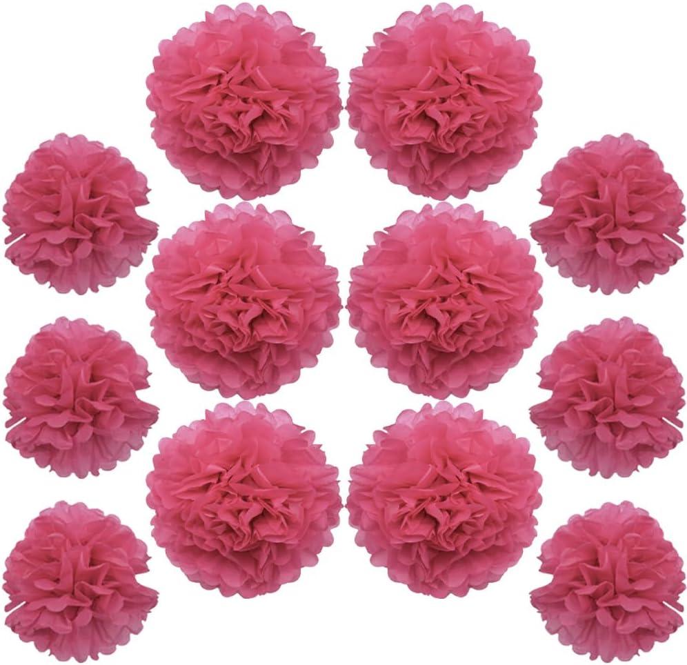 Ruidee 12 Pieces Tissue Paper Pompoms 10in and 12in Hanging Tissue Flowers Decorations Colour Paper Flower Ball for Party Wedding Decoration (ZH/Rose)