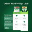 Advantage II Large Cat Vet-Recommended Flea Treatment & Prevention | Cats Over 9 lbs. | 4-Month Supply