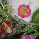 Nearly Natural 24-Inch Spring Garden Wreath with Twig Base, Multicolored/Green
