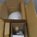 DINGLILIGHTING DLLT LED Frosted Glass Globe Floor Lamp-9W Standing Lamps for Modern, Mid Century Contemporary Rooms, Energy Saving Tall Pole Accent Lighting for Living Room, Bedroom, Office, Gold