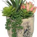 Succulents Plants Artificial, Faux Succulent Plants in Elegant Ceramic Pot Assorted Faux Potted Succulent Plant for Home Living Rooms Bedroom Dcor (7.9)