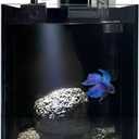 Betta Fish Tank kit,Small Nano Glass Fish Tank Start Kit with Filter,LED Light for Shrimp,Small Fish,Betta (1.5 Gallon)