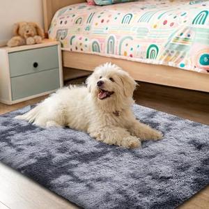 OLANLY Area Rugs for Living Room Bedroom, Machine Washable 2x3 Feet Soft Fluffy Shaggy Bedside Rug, Indoor Floor Carpet for Kids Girls and Boys, Nursery Room, Home Decor Aesthetic, Light Grey Tie-dye