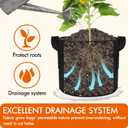 Gardzen 10-Pack 20 Gallon Grow Bags, 300G Thickened Fabric Grow Bags with Handles, Heavy Duty Aeration Plant Grow Bags