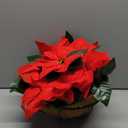 Artificial Christmas Poinsettia Flowers with Hanging Basket for Outdoor Decoration with Holly Berries Red Velvet Fake Plants Faux Silk Christmas Flowers for Home Porch Garden Patio Xmas Decor