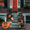 BOXOB 2pcs Halloween Porch Goose Costume, Pumpkin Shaped Porch Goose Outfits Including Clothes Hat Outdoor Patio Yard Lawn Art Decoration for 23in Duck Accessories
