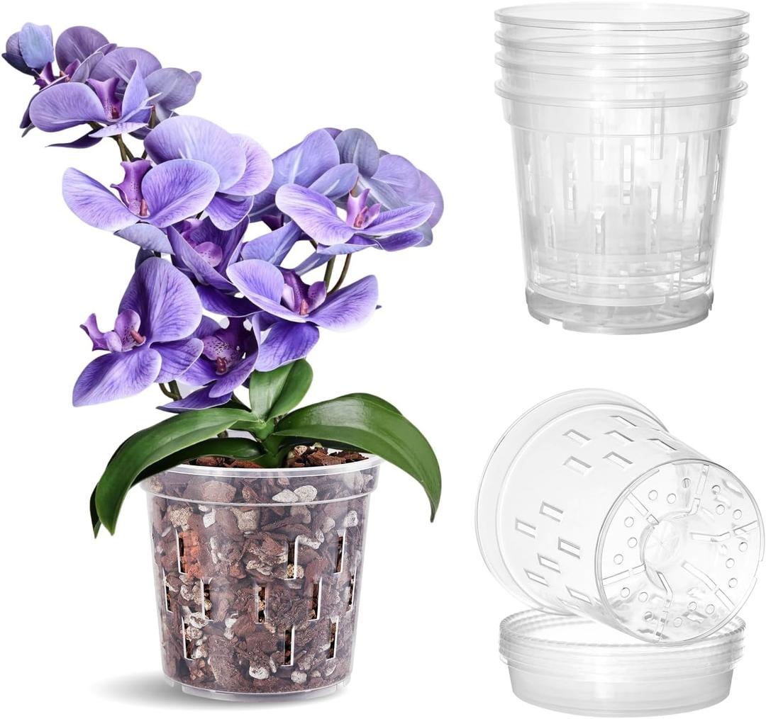TRUEDAYS Orchid Pot with Saucers  4 Pack 6 Inch Clear Orchid Pots with Drainage Holes for Repotting  Ideal for Healthy Root Growth  Sturdy Plastic Plant Pot for Indoor & Outdoor Plants