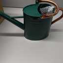 1 Gallon Metal Watering Can with Removable Spout, Nice Galvanized Steel Water Can with Embossed Design for Indoor and Outdoor Plants (Green)