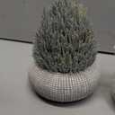 2 Pack Small Fake Plants in Cement Planter for Bathroom Decor, 6.1/5.7 Inch Artificial Plants Indoor, Small Faux Plants Indoor for Home Room Bedroom Farmhouse Kitchen Office Decor