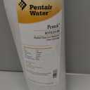 Pentair Pentek RFFE20-BB Big Blue Water Filter, 20-Inch, Whole House Radial Flow Iron Reduction Replacement Cartridge, 20" x 4.5", White (Pack of 1)