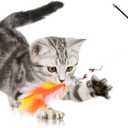 2 x Magnetic Cat Wand Toy Cat Retractable Wand Feather Chase and Exercise String Interactive Cat Toys