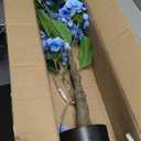 Hollyone 3FT Blue Hydrangea Artificial Flowers Tree Large Real Touch Faux Silk Hydrangea Plants Potted Fake Flower in Black Pot for Home Indoor Outdoor Front Porch Garden Entrance Living Room Decor