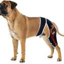 Dog Leg Brace for Back Leg ACL Tear, Dog Knee Brace for All Legs with Reflective Material, Dog Arthritis Brace to Relieve Arthritis Pain, Prevent Further Injury and Promote Postoperative Recovery M