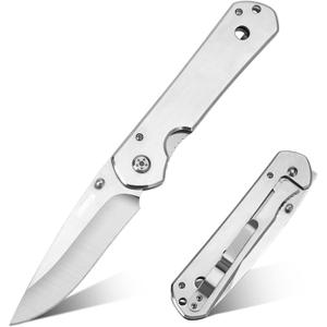 Dispatch Iris | Silver 3.9 inch Pocket Knife for Men, EDC Folding Knife for Camping Survival Hiking Outdoor with Brushed Stainless Steel Handle, Liner Lock