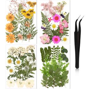 Nuanchu Pressed Flowers for Crafts Resin Dried Flower Bulk White Natural Dried Wildflowers Daisy with Tweezer for Resin Mold Candles Cake DIY Christmas Craft Card Making Wedding Scrapbooking Supplies (Elegant Color)