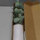 Artificial Eucalyptus Stems in Glass Vase with Faux Water, 13.5" Fake Plants for Home Decor, Coffee Table Centerpieces, Office, Bathroom & Farmhouse Weddings - Faux Greenery Plants Decorations