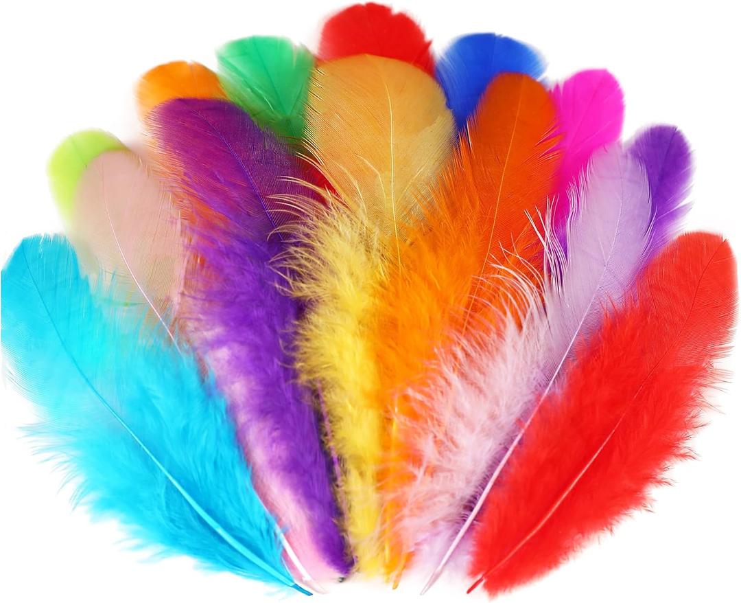 Soarer Colorful Craft Rooster Feathers - 300pcs 3-5inch Colored Feathers Bulk for DIY Crafts,Wedding Home Party Decorations,Dream Catcher Supplies(Rooster Colorful)