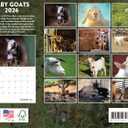 Baby Goat Calendar 2026 Monthly Wall Calender 12 Month | American Made In The USA