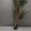 Bellacat Faux Olive Tree 6ftOlive Trees Artificial Indoor with Natural Wood Trunk and Realistic Leaves and Fruits. 6 Feet(72in) Fake Olive Tree for Home House Office Dcor.