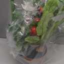 Creative Co-Op Faux Tomato Plant in Plastic Pot