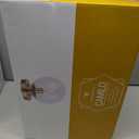 Canarm Camilo IFM1029A08GD-CL Flush Mount - Gold Finish, 1-Light, Clear Glass, 60W Type A15, 8" W x 9.5" H, Sleek Design for Hallways, Bedrooms