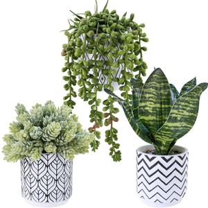 Winlyn Set of 3 Artificial Potted Succulent Plants Faux Snake Plant Hops String of Pearls in Black White Geometric Planter Small Fake Desk Plants for Kitchen Bathroom Shelf Desk Table Windowsill Decor (White Pots With Pattern)