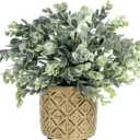 MyGift Artificial Eucalyptus Plant in Modern Gray Concrete Pots with Geometric Embossed Pattern (1, Gold)