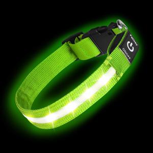 Super Bright LED Dog Collar - Fully Waterproof & Adjustable Glow Collar - USB-C Rechargeable for Night Walking, Safety - Flashing Lighted Collar for Dogs (Large/X-Large (18.5" - 26.5")
