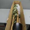 Artificial Olive Trees 5ft, Faux Faux Olive Tree Indoor with Realistic Tall Fake Plant Tree Trunk and Fruits,Olive Branches Silk Plants for Home Room Office Decor and Housewarming Gift