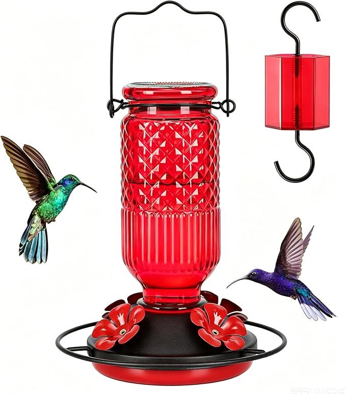 Glass Hummingbird Feeder