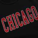 LilyCoco Women's Graphic Oversized Sweatshirt Long Sleeve Crewneck Pullover Top Chicago, Black, Large