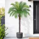 5ft Artificial Phoenix Palm Tree, Faux Coconut Silk Tropical Fake Palm Plant for Indoor Outdoor Home Office Patio Bathroom Pool Coastal Decor, Phoenix Palm, 5ft