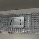 Live Humane Animal Trap Cage Cat Trap Folding Catch and Release Cage