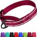 CollarDirect Reflective Martingale Dog Collar Nylon Heavy Duty Training Pet Collars for Small Medium Large Dogs Puppy Black Blue Mint Green Red Pink Purple Dark Red (L, Neck Size 16"-24", Dark Red)