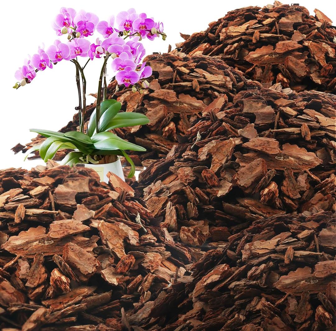 AVALUTION Orchid Potting Bark-29QT Organic Orchid Bark for Plants, All Natural Pine Bark Wood Chips for Houseplant Mulch, Orchid Plants Root Development, Mulch for Potted Plants (Large)