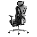 Hbada P5 Ergonomic Office Chair, Desk Chair with Adjustable Lumbar Support and Height, Comfortable Mesh Computer Chair with Footrest 2D Headrest, Swivel Tilt Function Black