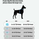 TagME No Pull Dog Harness with 2 Leash Clips,Lightweight & Visible for All-Day Walking,No Choke Pet Vest Includes AirTag Holder for Puppy,Fuchsia Pink