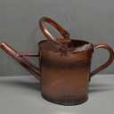 1 Gallon Metal Watering Can with Removable Spout, Nice Galvanized Steel Water Can with Embossed Design for Indoor and Outdoor Plants (Bronze)