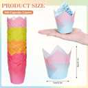 Whaline 200Pcs Bicolor Gradient Tulip Cupcake Liners Greaseproof Muffin Baking Liners Spring Easter Tulip Cupcake Wrappers Baking Cups for Bridal Shower Wedding Birthday Party Decor