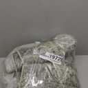 FMFUNCTEX 4x6 Washable Area Rug Green Neutral Vintage Distressed Oriental Non Slip Low Pile Traditional Entryway Indoor Carpet for Living Room Bedroom Soft Retro Throw Rug for Dining Office Entrance