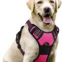 rabbitgoo Dog Harness No Pull with 2 Leash Clips, Adjustable Soft Padded, Reflective Oxford No Choke Pet Vest with Easy Control Handle for Large Dogs, Hot Pink, L