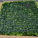 Artificial Boxwood Wall Panels, 20''x20'' 12pcs Grass Wall Panels with Mint Plant Leaves, Greenery Backdrop Privacy Screen with UV Protection, Green Grass Wall for Garden Indoor Outdoor Decor