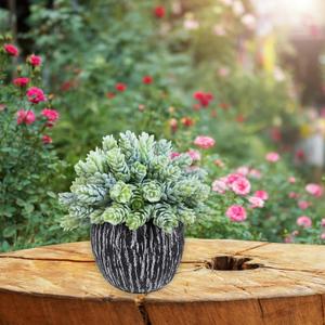 Winlyn Set of 2 Artificial Succulent Plants in Black Pots Fake Hops Aloe String of Pearls Potted Plants Small Faux Plants Desk Plants for Home Office Desk Kitchen Bathroom Shelf Windowsill Decor